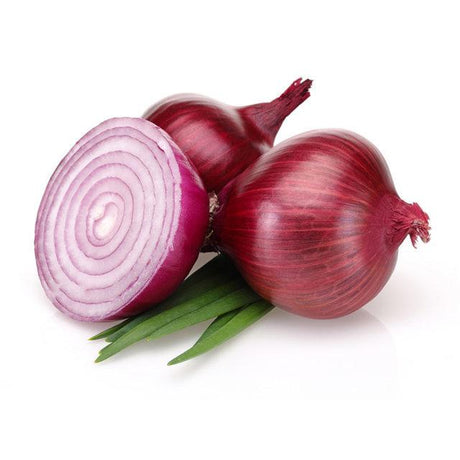Onion Red Jumbo - 1 lb