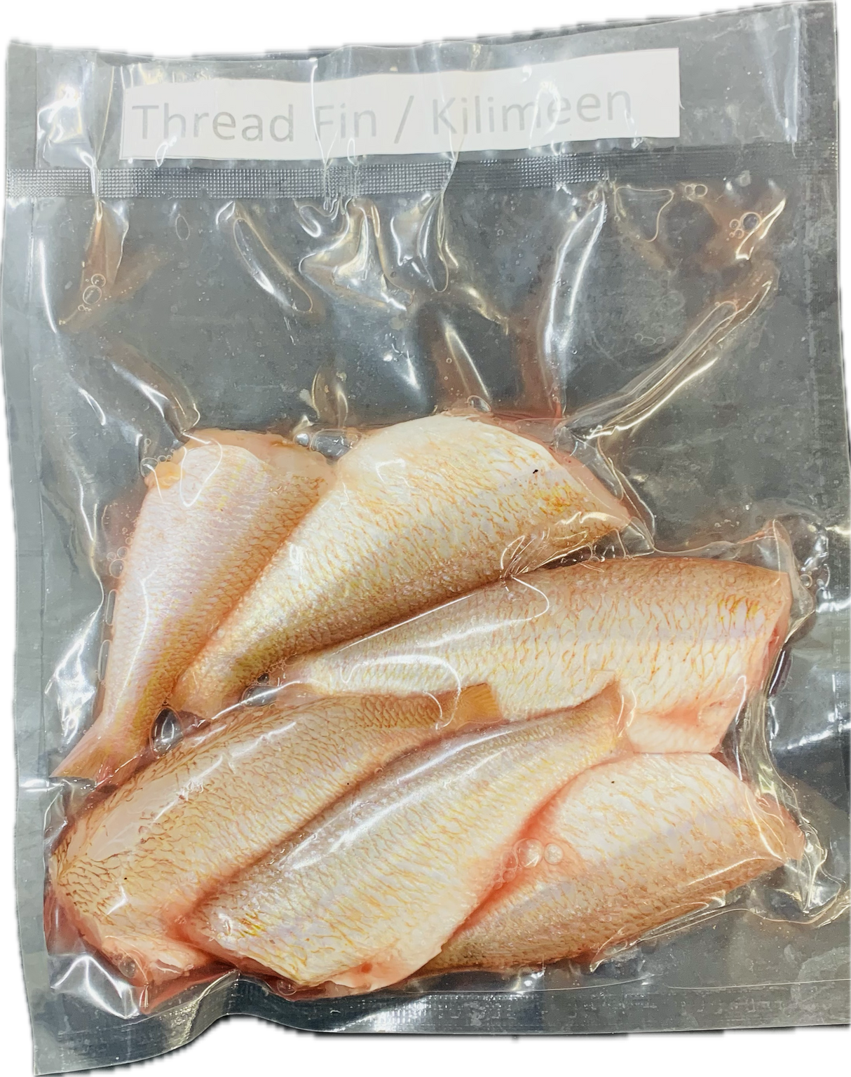 Fresh Thread Fin Fish ( Cleaned ) 1.1lb - Air Shipped from India - Never Frozen