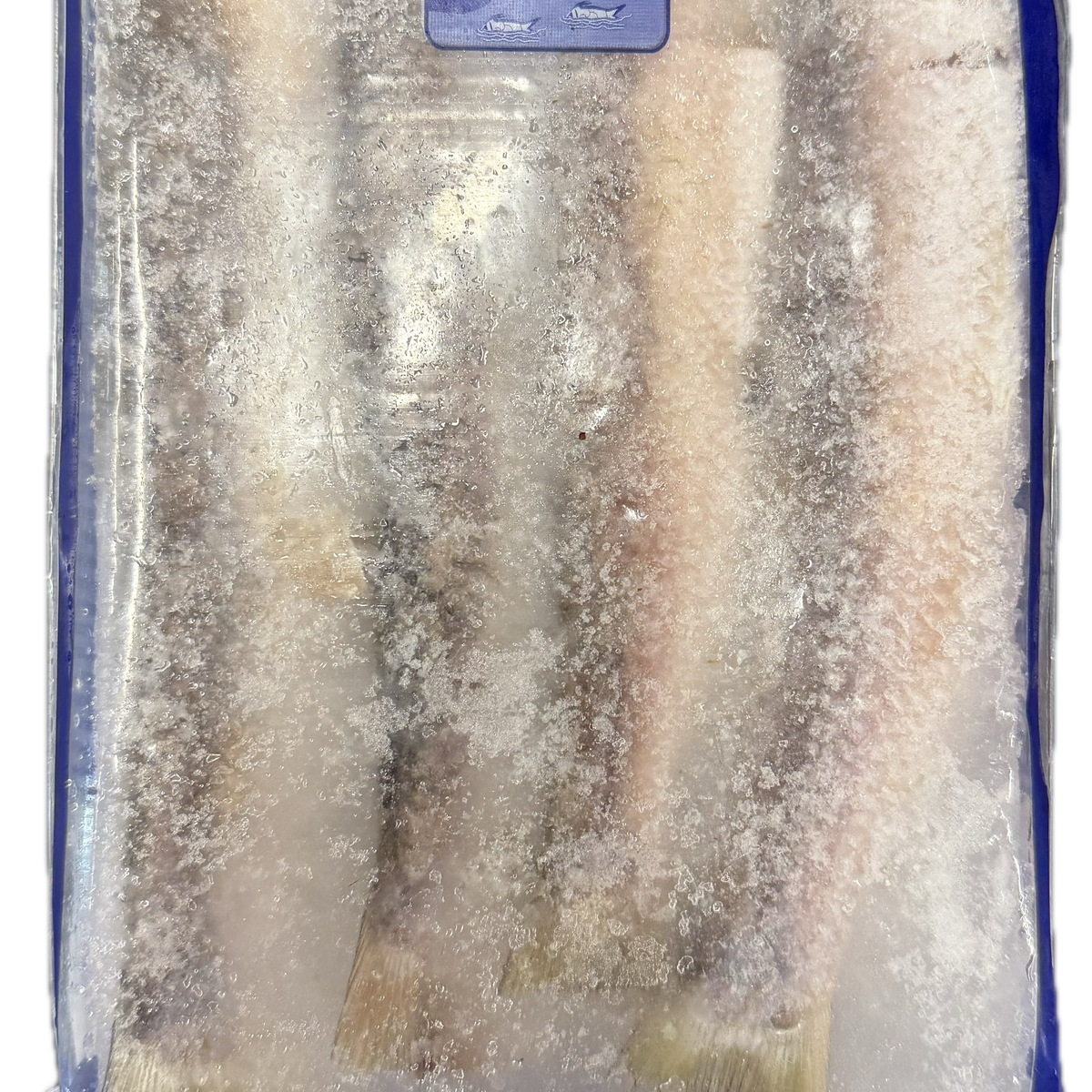 Putul Nola Fish 500g – Maurya Grocery