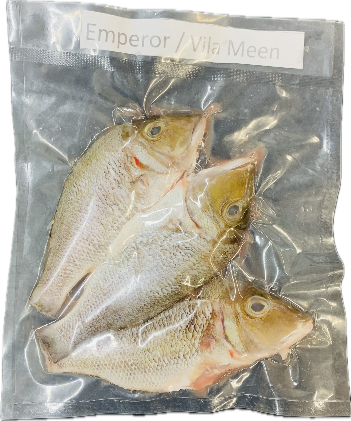 Fresh Emperor Fish ( Cleaned ) 1.1lb ( 2 - 3 Pc )- Air Shipped from India - Never Frozen