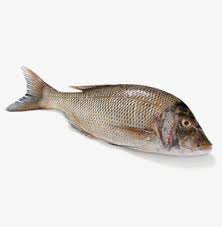 Fresh Emperor Fish ( Cleaned ) 1.1lb ( 2 - 3 Pc )- Air Shipped from India - Never Frozen