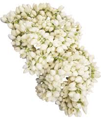 Fresh Jasmine ( Mullai )  Flower String - 55 inch ( Air Shipped from India )