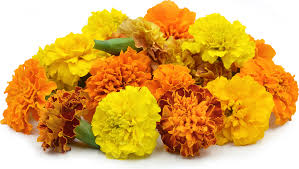 Marie Gold / Jamanthi  Flower Fresh - 1 Pack - ( 4 Pc )