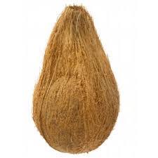 Pooja Coconut With Tail -ea