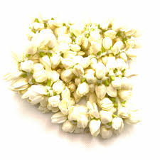 Fresh Jasmine ( Mullai )  Flower String - 55 inch ( Air Shipped from India )