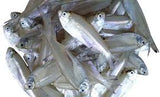 Daily Delight Cleaned White Sardine / Veloori Fish 2lb