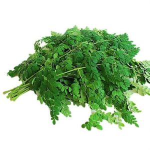 Drumsticks Leaves - 1 bunch