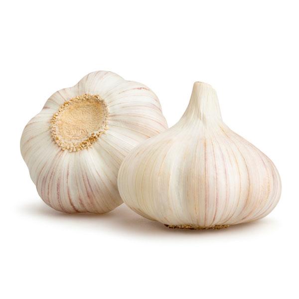 Garlic String 5pc -ea