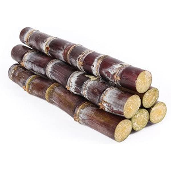 Fresh Sugar Cane Red - ea  ( Approx 6 Inch )
