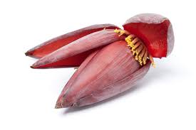 Banana Flower.jpg