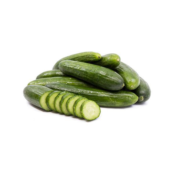 Cucumber Persian -lb