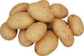 Potato Yellow -lb