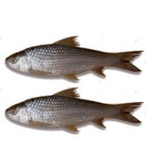 BD Koi Fish 500g