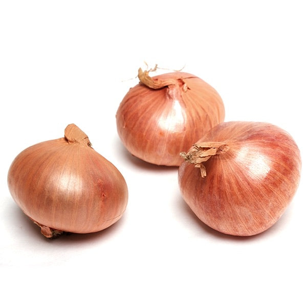 Shallots Onion Round - 1 lb
