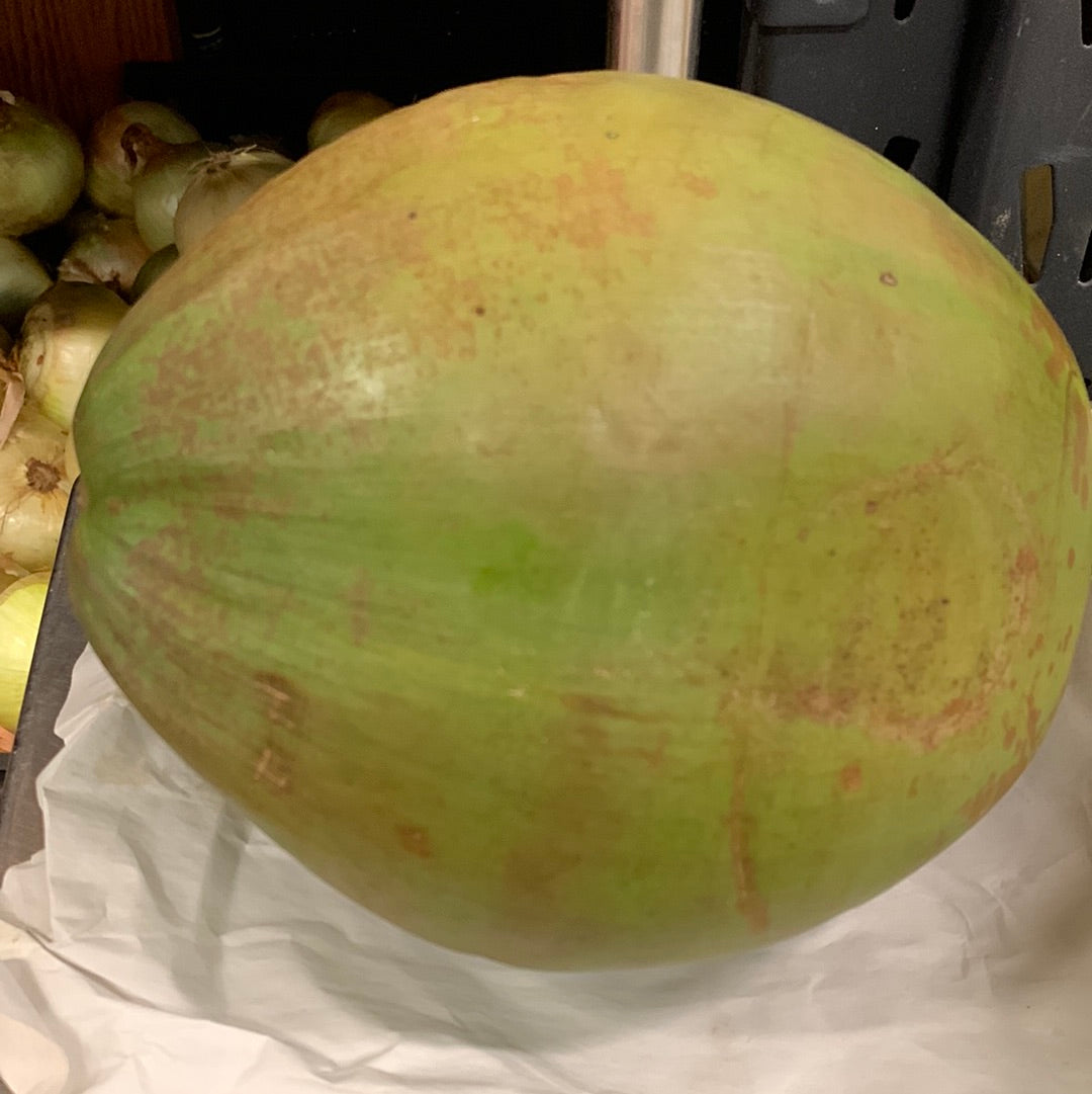 Whole Coconut Green - ea