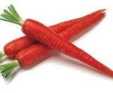 Indian Carrot - 1 lb