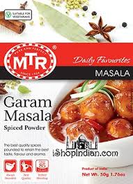 MTR Garam Masala 100g